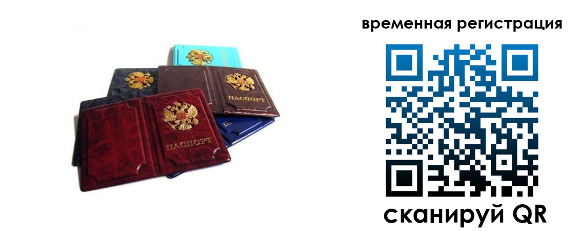 прописка гарантия в Боготоле